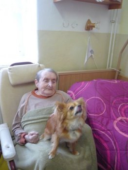 Začali sme s canisterapiou