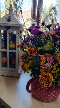 Výstava Kremnické jablko 2023